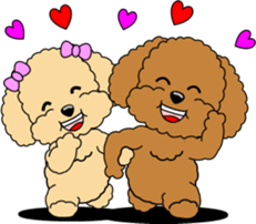 Lovely sticker of Toy Poodle sticker #11655340