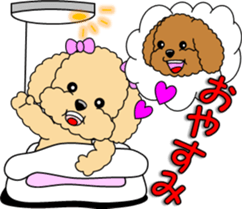 Lovely sticker of Toy Poodle sticker #11655347