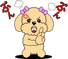Lovely sticker of Toy Poodle sticker #11655348