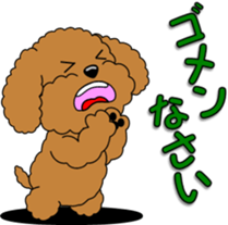 Lovely sticker of Toy Poodle sticker #11655352