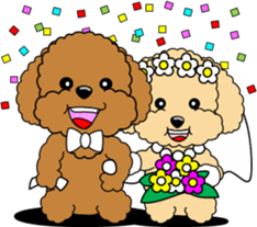 Lovely sticker of Toy Poodle sticker #11655355