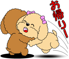 Lovely sticker of Toy Poodle sticker #11655358