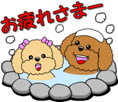 Lovely sticker of Toy Poodle sticker #11655359