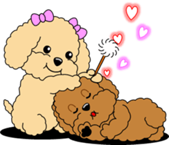 Lovely sticker of Toy Poodle sticker #11655361