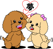 Lovely sticker of Toy Poodle sticker #11655363