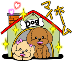 Lovely sticker of Toy Poodle sticker #11655364