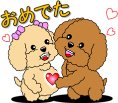 Lovely sticker of Toy Poodle sticker #11655365