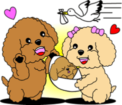 Lovely sticker of Toy Poodle sticker #11655366