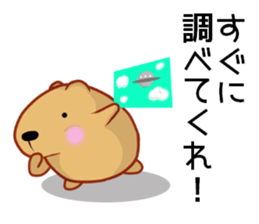 Kyapibara criminal sticker #11655461