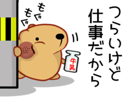 Kyapibara criminal sticker #11655464