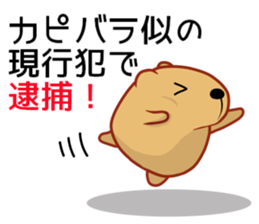 Kyapibara criminal sticker #11655486