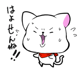 Dialect chikugo cat sticker #11655571