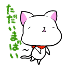 Dialect chikugo cat sticker #11655586