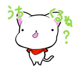 Dialect chikugo cat sticker #11655598