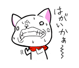 Dialect chikugo cat sticker #11655599
