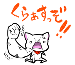 Dialect chikugo cat sticker #11655602