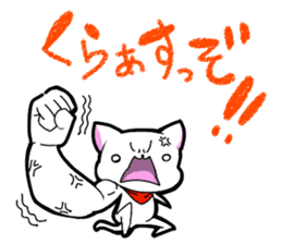 Dialect chikugo cat sticker #11655602
