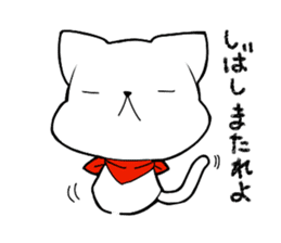Dialect chikugo cat sticker #11655604