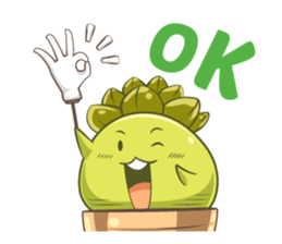 Haworthia Kingdom : Obtusa Monster sticker #11657293