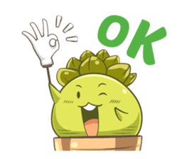 Haworthia Kingdom : Obtusa Monster sticker #11657293