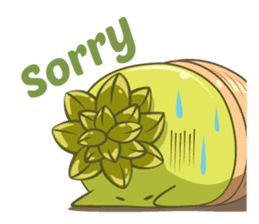 Haworthia Kingdom : Obtusa Monster sticker #11657300