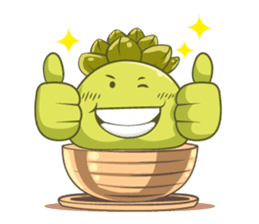 Haworthia Kingdom : Obtusa Monster sticker #11657301