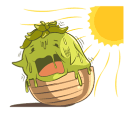 Haworthia Kingdom : Obtusa Monster sticker #11657304