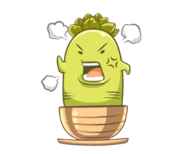 Haworthia Kingdom : Obtusa Monster sticker #11657308