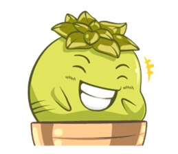 Haworthia Kingdom : Obtusa Monster sticker #11657313