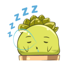 Haworthia Kingdom : Obtusa Monster sticker #11657315