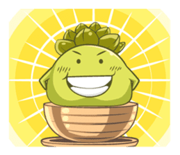 Haworthia Kingdom : Obtusa Monster sticker #11657319
