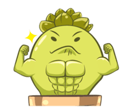 Haworthia Kingdom : Obtusa Monster sticker #11657321