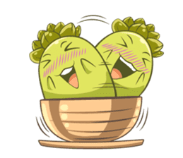 Haworthia Kingdom : Obtusa Monster sticker #11657323