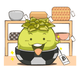 Haworthia Kingdom : Obtusa Monster sticker #11657325