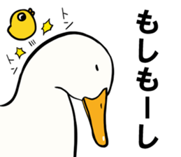 Mr. duck & Chick sticker part2 sticker #11658675