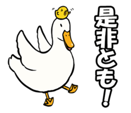 Mr. duck & Chick sticker part2 sticker #11658679