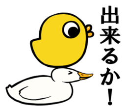 Mr. duck & Chick sticker part2 sticker #11658686
