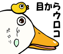 Mr. duck & Chick sticker part2 sticker #11658694