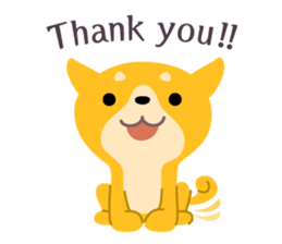 BLACK & BROWN SHIBA INU sticker #11658706