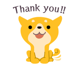 BLACK & BROWN SHIBA INU sticker #11658706