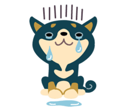 BLACK & BROWN SHIBA INU sticker #11658718