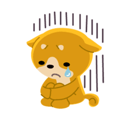 BLACK & BROWN SHIBA INU sticker #11658730