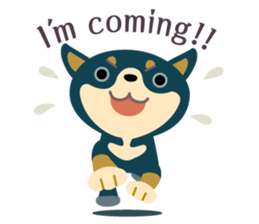 BLACK & BROWN SHIBA INU sticker #11658732