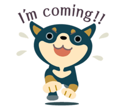 BLACK & BROWN SHIBA INU sticker #11658732