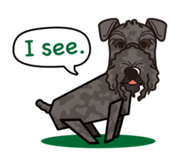 iinu - Kerry Blue Terrier sticker #11658789