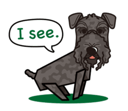 iinu - Kerry Blue Terrier sticker #11658789