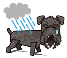iinu - Kerry Blue Terrier sticker #11658798