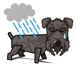iinu - Kerry Blue Terrier sticker #11658798