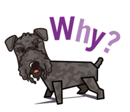 iinu - Kerry Blue Terrier sticker #11658805