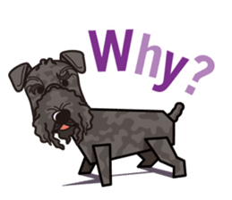 iinu - Kerry Blue Terrier sticker #11658805